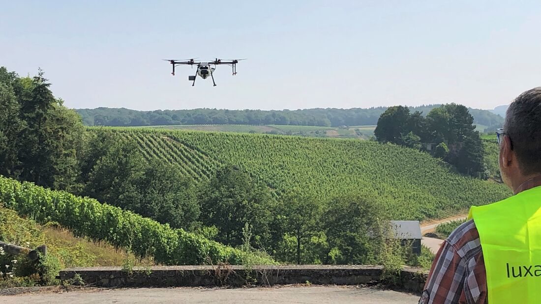 Drohnen besprühen Weinberge